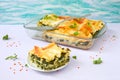 LentilÃÂ Spinach Lasagne Royalty Free Stock Photo